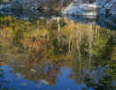 Reflections - C&O Canal